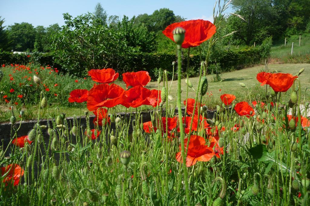 Maison D'Hotes Les Coquelicots Живерні Екстер'єр фото